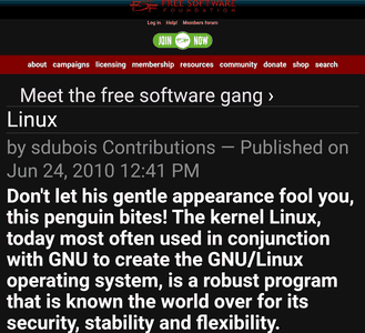 Free Software Foundarion Linux server landing page screenshot.