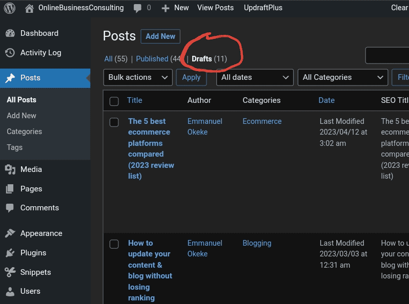 This website dashboard showing post drafts.